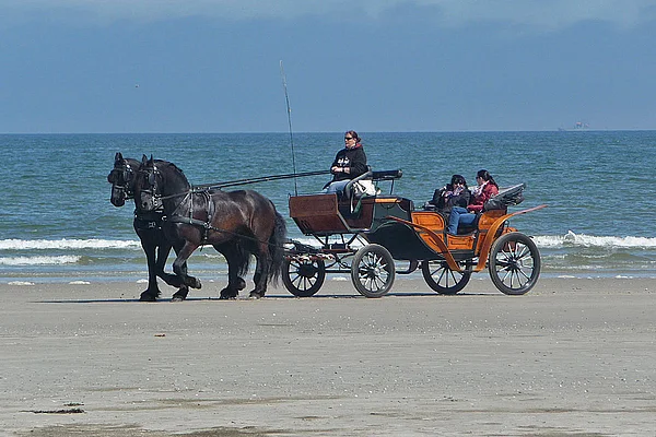 Juist Strand Pferdekutsche