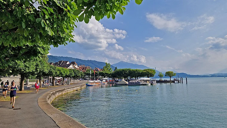 Zug Schweiz Uferpromenade Zuger See