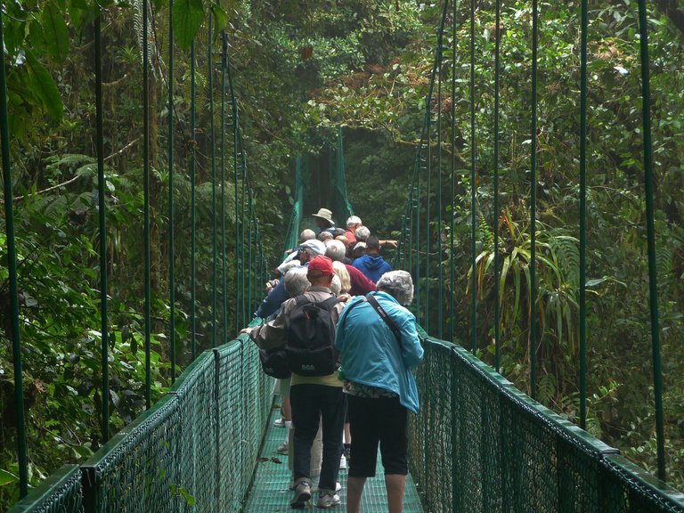 Costa Rica Selvatura Menschen auf Hängebrücke