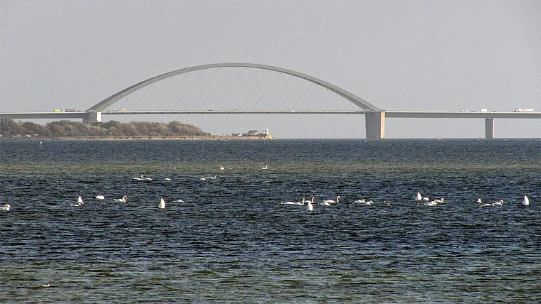 Fehmarn Blick auf Fehmarn-Sund-Brücke