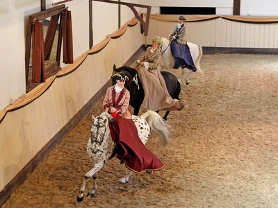 Bückeburg Hofreitschule Reitvorführung