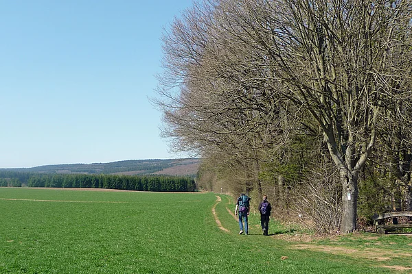 Saar-Hunsrück-Steig