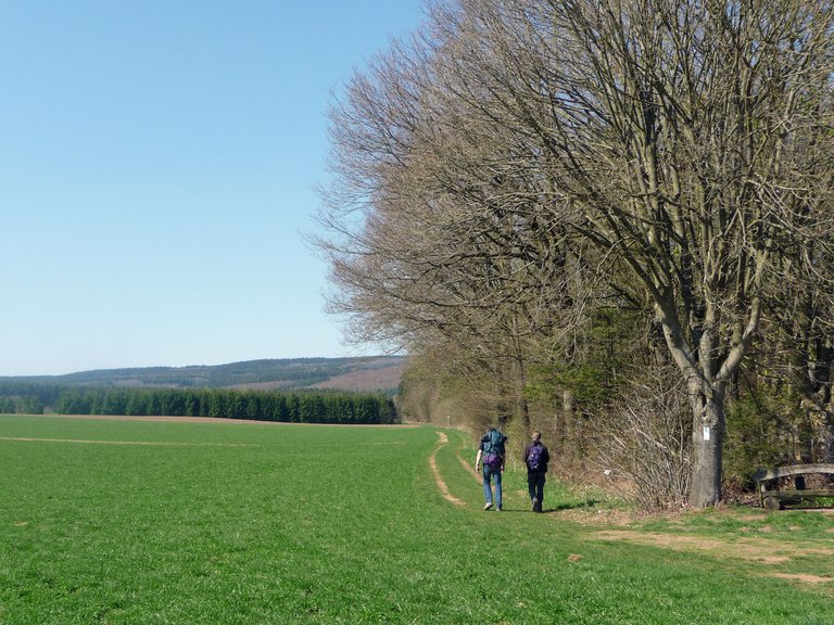 Saar-Hunsrück-Steig