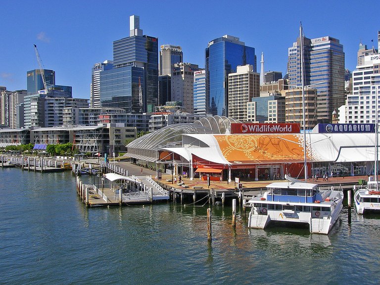 Sydney 3