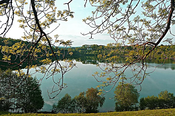 Vulkaneifel Totenmaar Frühling