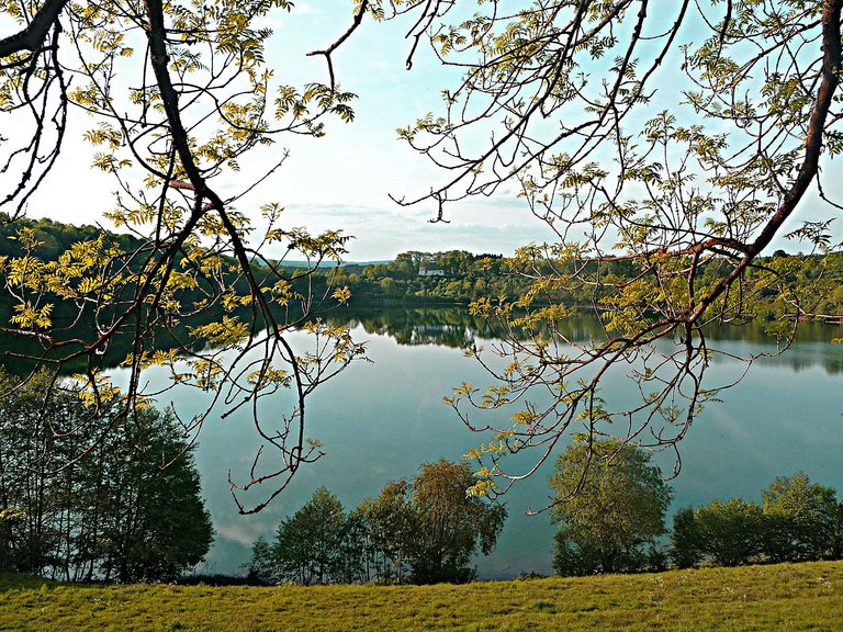 Vulkaneifel Totenmaar Frühling