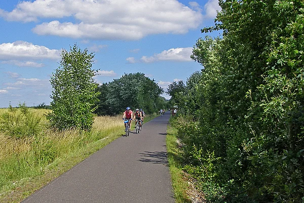 Hunsrück Schinderhannes Radweg mit Radfahrern