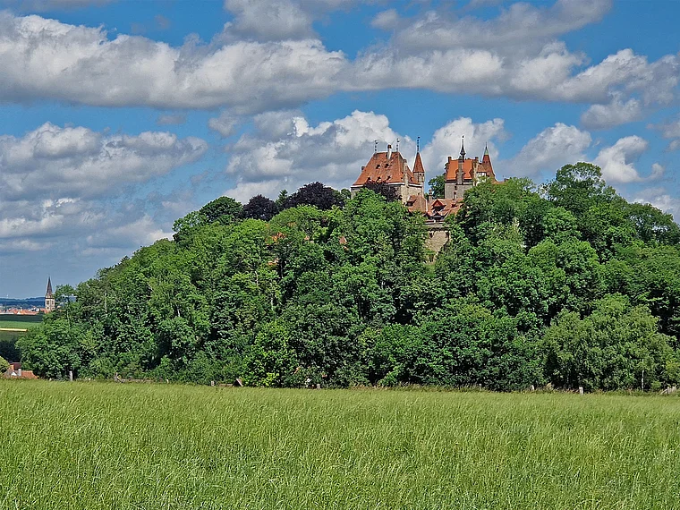 Warburg Burg Calenberg von fern