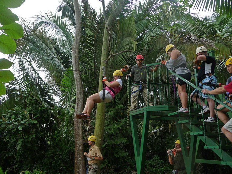 Costa Rica Canopy