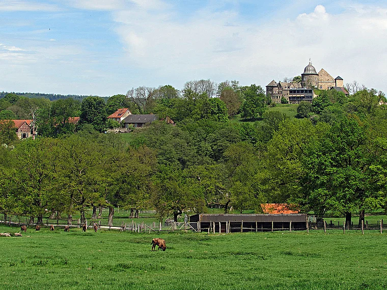 Hofgeismar Tierpark Sababurg