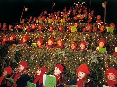 Zürich Singing Christmas Tree nah
