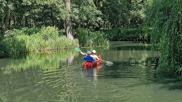 Lübbenau Spreewald Paddelboot