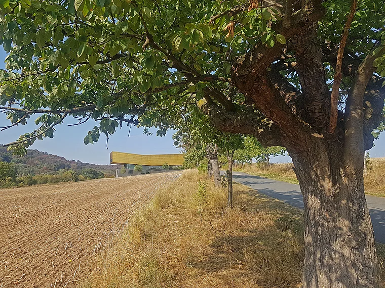 Nebra Arche