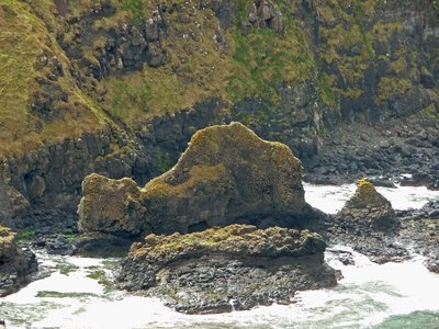 Nordirland Giant's Causeway Kamel nah