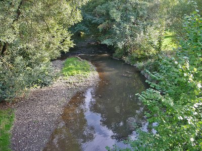 Dill bei Haiger