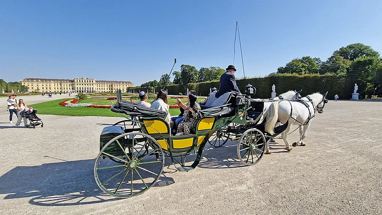 Wien Schönbrunn Schlosspark Fiaker