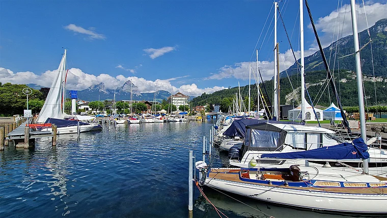 Brunnen Schweiz Yachthafen Segelboote
