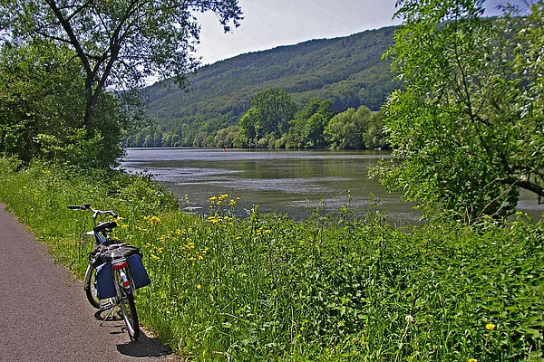 Main-Radweg bei Neustadt