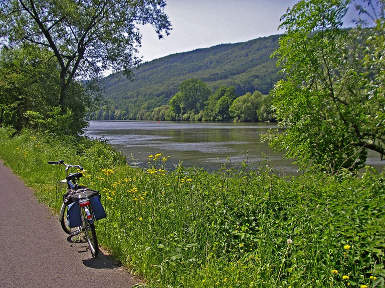 Main-Radweg bei Neustadt
