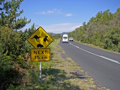 Australien Wilsons Prom Warnschild vor Tieren an der Straße