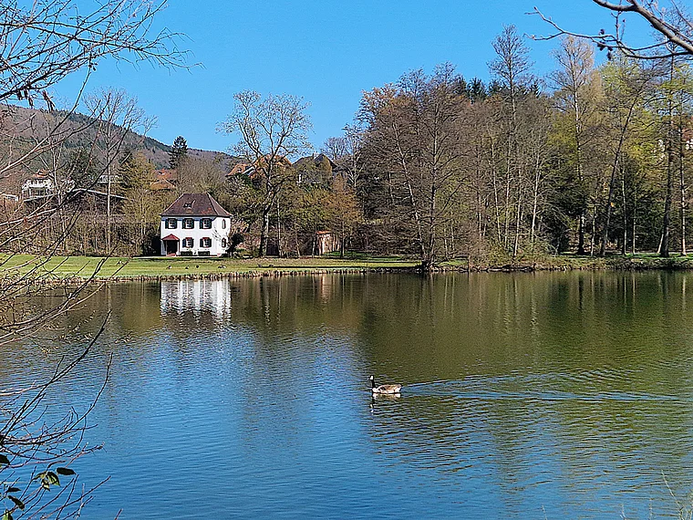 Amorbach Odenwald Seegarten