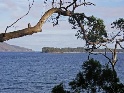 Tasmanien Port Arthur Blick über Bucht
