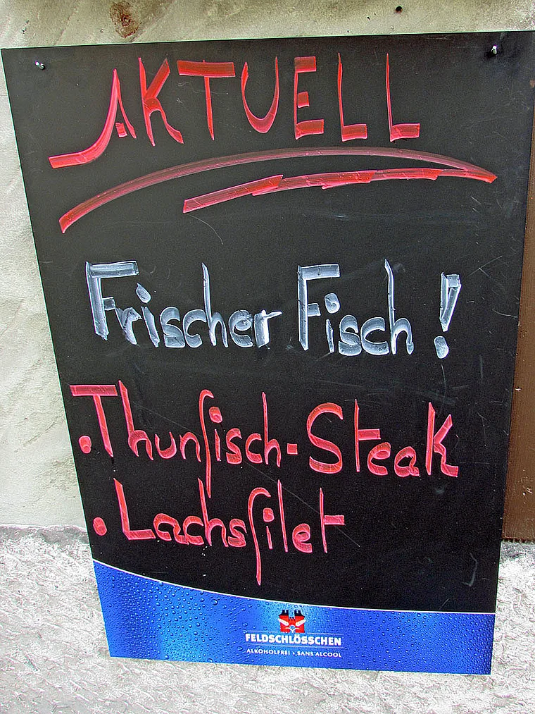 Thun Thunfisch
