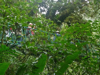 Costa Rica Selvatura Hängebrücke