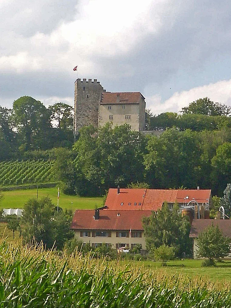 Schloss Habsburg total