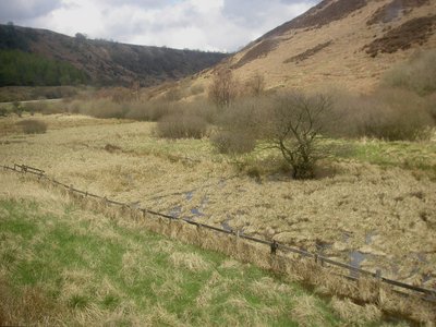North York Moors Landschaft vom Zug aus