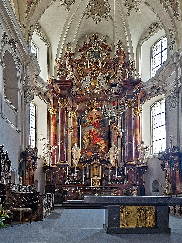 Schwyz Kirche St. Martin Altar