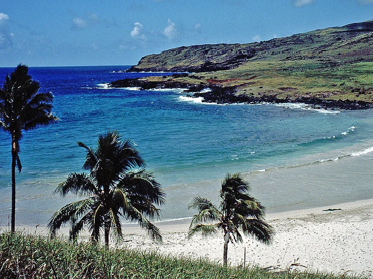 Osterinsel Anakena Strand mit Palmen