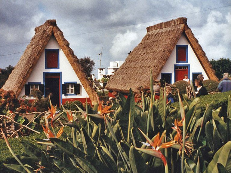 Madeira Santana Strelitzien Landhäuser