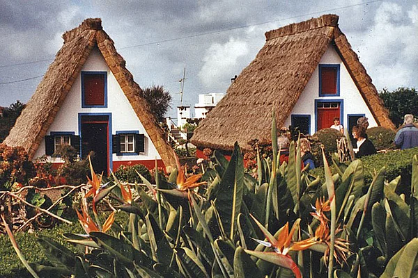 Madeira Santana Strelitzien Landhäuser