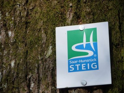 Saar-Hunsrück-Steig Logo an Baum