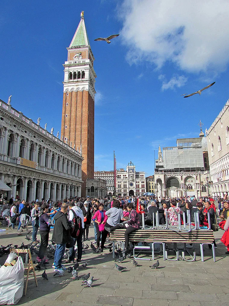 Venedig Tauben Piazza San Marco