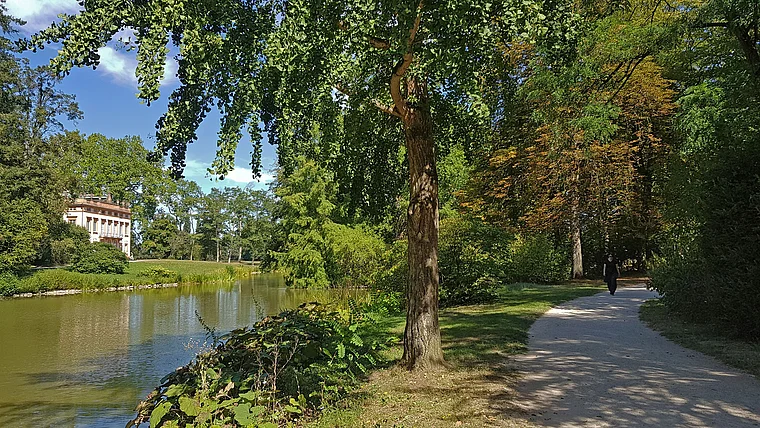Aschaffenburg Park Schönbusch