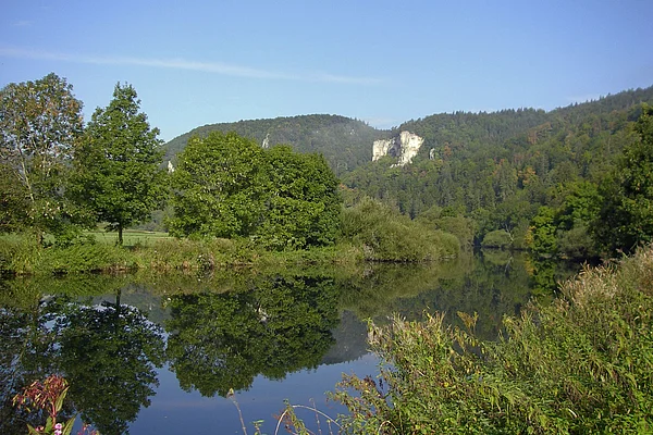 Die junge Donau