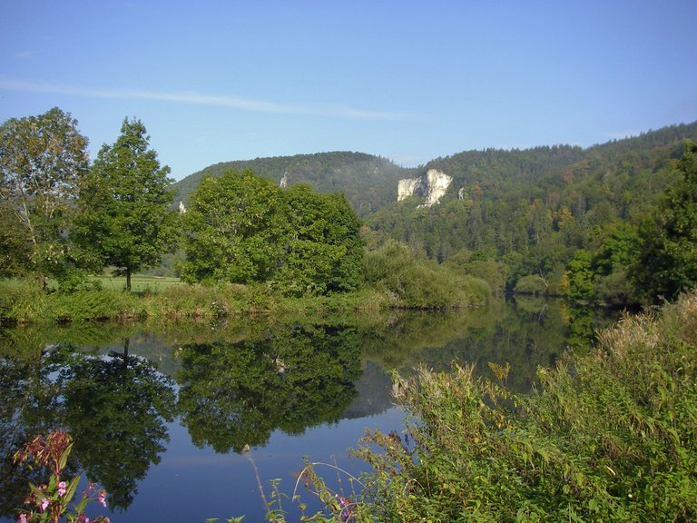 Die junge Donau