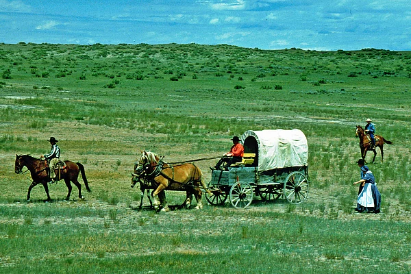 Hardin Montana Custer's Last Stand Reenactment Planwagen mit Pferden