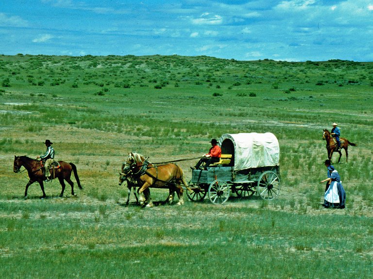 Hardin Montana Custer's Last Stand Reenactment Planwagen mit Pferden