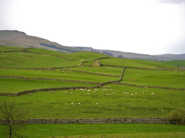 Yorkshire Dales Steinmauern
