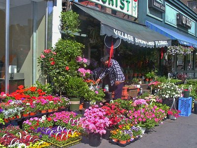 New York Greenwich Village Blumenladen