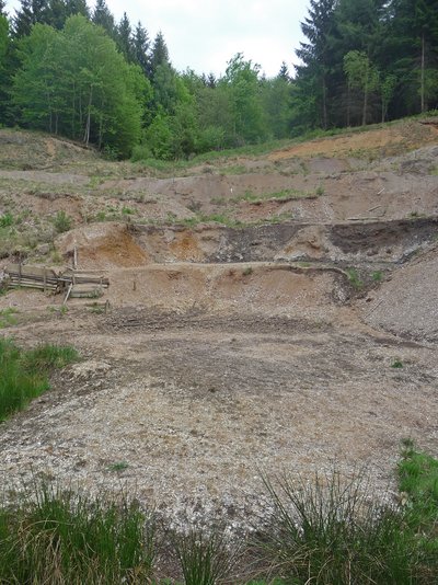Vulkaneifel Eckfelder Maar