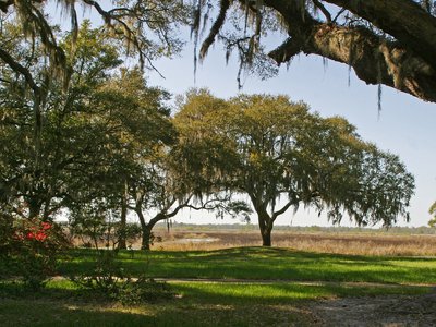 South Carolina Litchfield Plantation Außenanlage