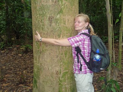 Costa Rica Arenal Naturschutzgebiet Frau umarmt Baum