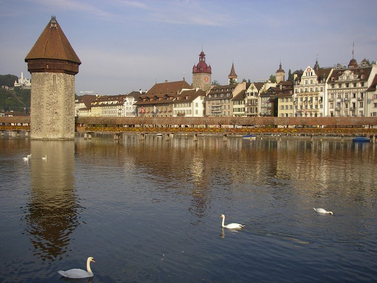 Luzern Reuß Kapellbrücke Schwäne