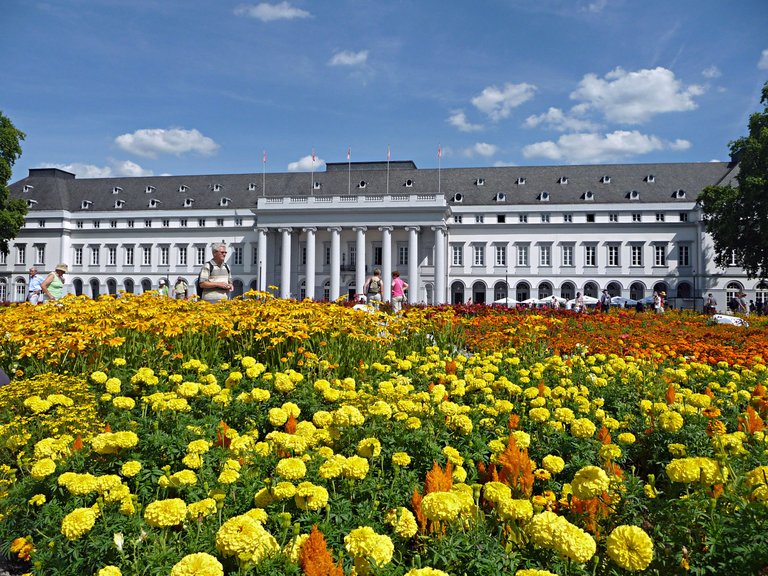 Koblenz Schloss Bundesgartenschau Studentenblumen