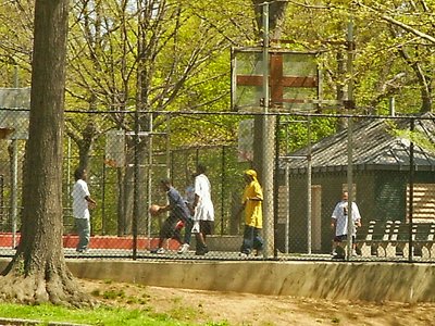 New York Claremont Park Jugendliche