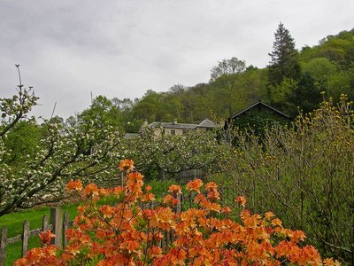 Lake District Coniston Water Brantwood House Garten